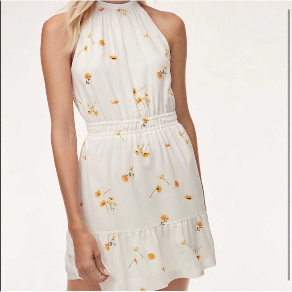 Aritzia Wilfred Effet Dress
